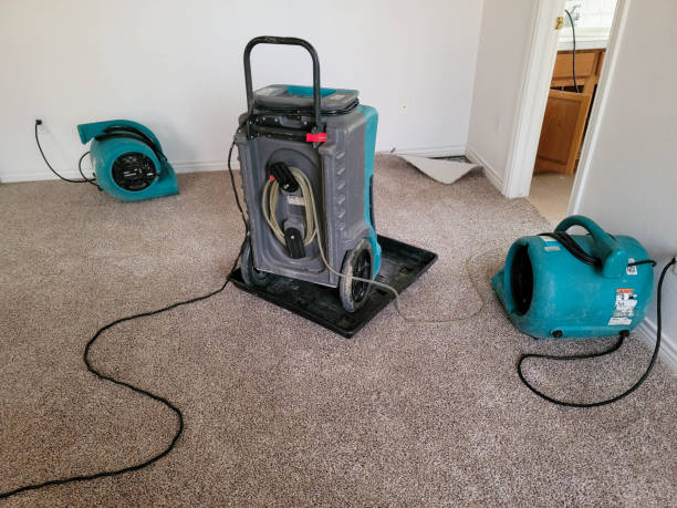 Best Local water damage restoration  in Riverview, MO