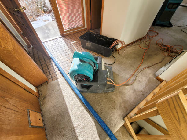 Best Commercial water damage restoration  in Riverview, MO