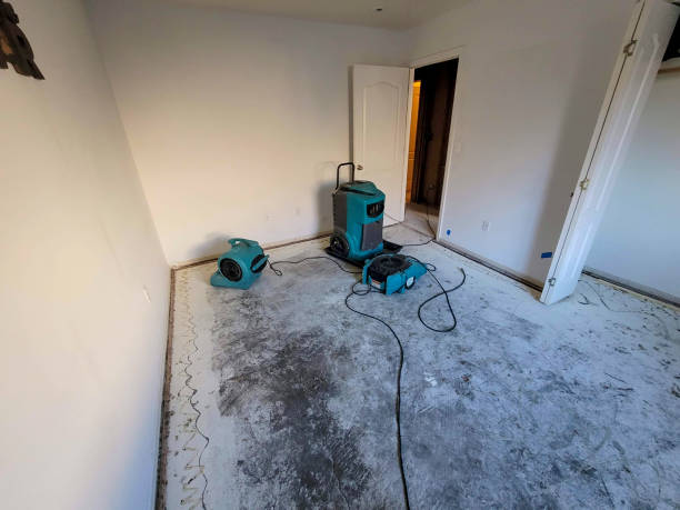 Best Basement water damage restoration  in Riverview, MO