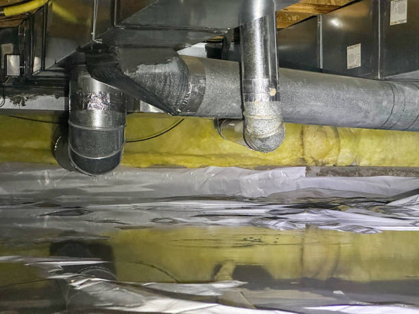Best Local water damage restoration  in Riverview, MO