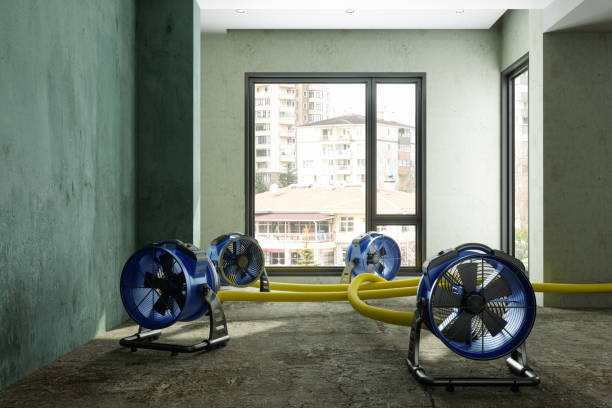 Best Water damage contractors near me  in Riverview, MO
